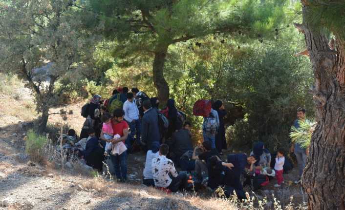 Çanakkale’nin Ayvacık ilçesinde, yasa