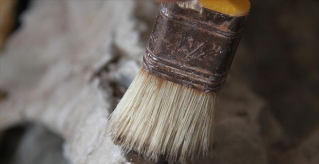 İspanya'da 127 milyon yıl önce yumurtadan çıktıktan kısa bir süre