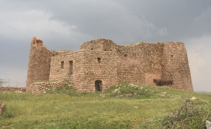 Şırnak’ın İdil ilçesinin Başak köyünde milattan sonra 620 yıllarına ait