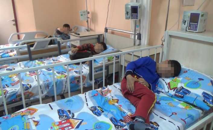 Hatay’da 15 kişi, dağdan topladıkları mantarları tüketmelerinin ardından zehirlendi. Hastaneye