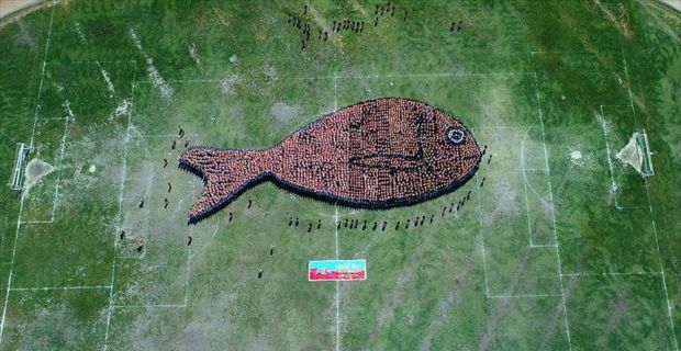 Muğla'da geçen yıl 2 bin 791 öğrencinin oluşturduğu çipura figürü,