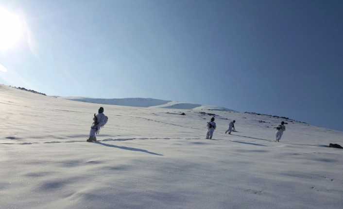 İç güvenlik operasyonları çerçevesinde 10-17 Aralık tarihleri arasında 1’i sözde