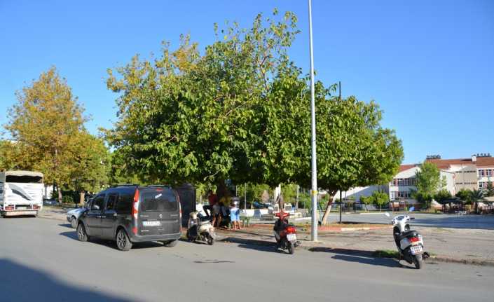 Mersin’in Anamur ilçesinde "Karabacak