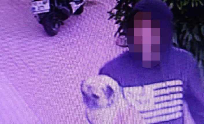Antalya’da sahibinin gezmesi için otelin önüne bıraktığı 3 dilde komutları