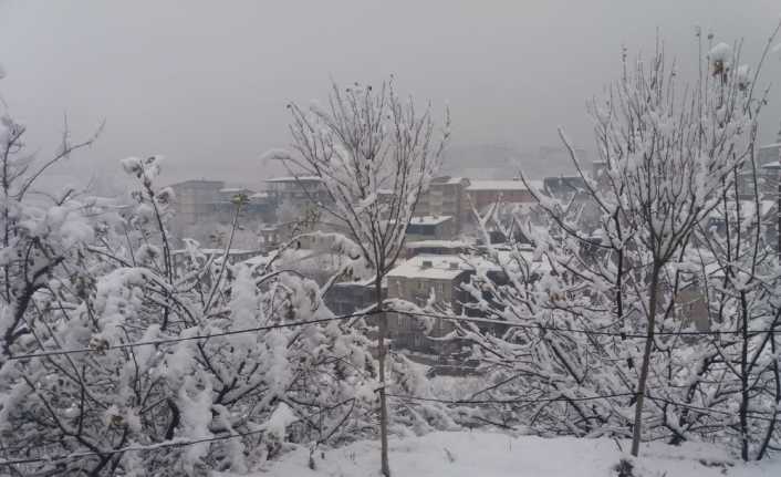 Hakkari’de etkili olan kar yağışı nedeniyle 33 köy ile 73