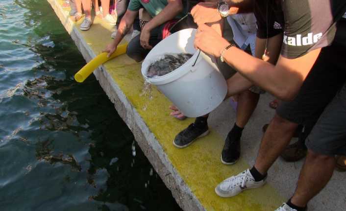Muğla’nın Bodrum ilçesinde düzenlenen 16. Balık Avı Festivali’ne katılan amatör