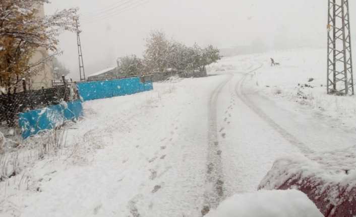Gümüşhane’de etkili olan kar yağışı nedeniyle 80 köy yolu ulaşıma
