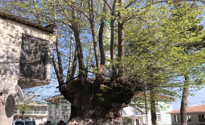 Çanakkale’nin Yenice ilçesine bağlı Akçakoyun köyünde bir zamanlar içinde berber