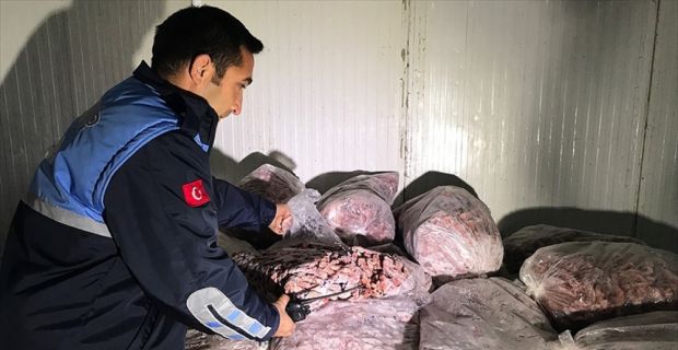 Adana'nın Seyhan ilçesinde kaçak tavuk kesimi yapıldığı tespit edilen iş
