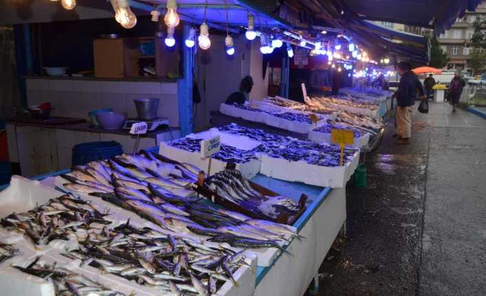 Karadeniz’de son 3 yılda yaklaşık 161 ton, geçen yıl ise