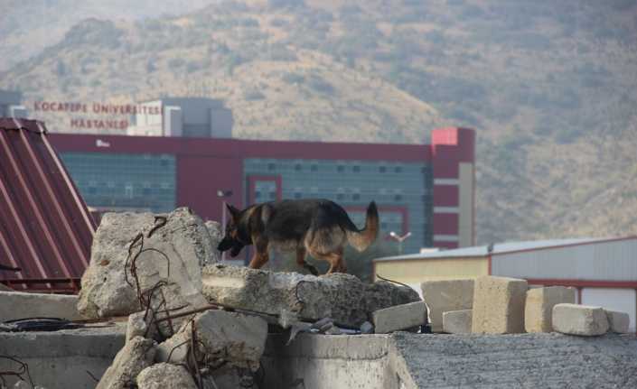 Afyonkarahisar’da gerçekleştirilen ’Köpekli Arama Timi Eğitim ve Görev Yeterlilik Sınavı’na