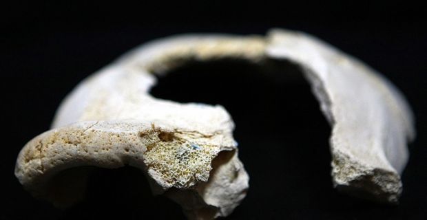 Bilim adamları, Afrika'nın dışında şimdiye kadarki en eski modern insan