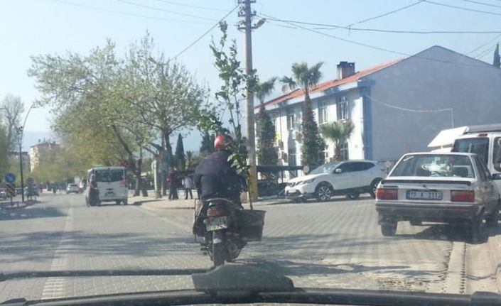 Balıkesir’in Edremit ilçesinde, motosikletle 3 metrelik ağacı taşıyan sürücü amatör
