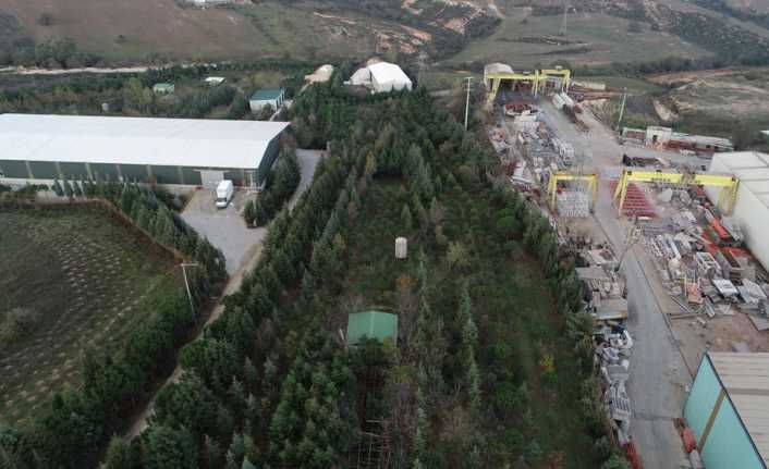 Kocaeli’nin Gebze ilçesinde yaşayan emekli öğretim üyesi, ağaçlarının kesilmemesi ve
