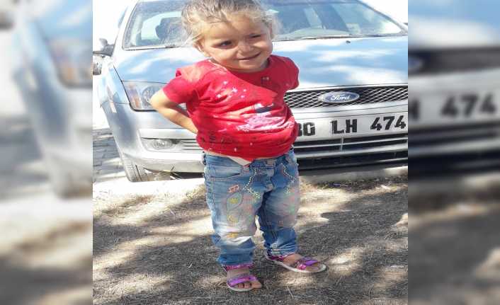 Sivas’ın Gemerek ilçesinde ailesiyle patates toplamaya giden 4 yaşındaki Sanem