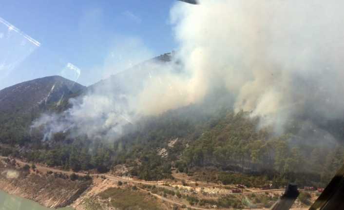 Antalya’nın Alanya ilçesinde ormanlık alanda yangın çıktı. 