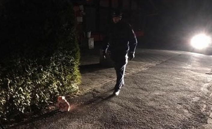Almanya'nın Gronau kentinde bir caminin kapısının önüne domuz başı bırakıldı.