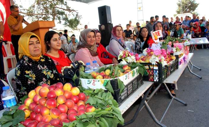 Terörden temizlenen Amanos Dağları eteklerinde köylüler ’Kayısı Festivali’ düzenledi. 