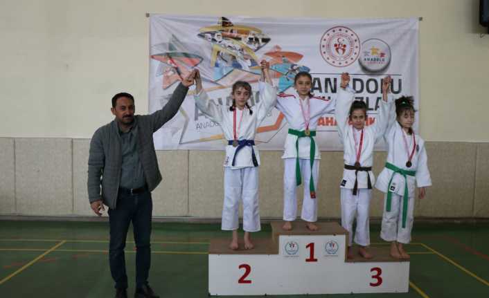 Anadolu Yıldızlar Ligi judo