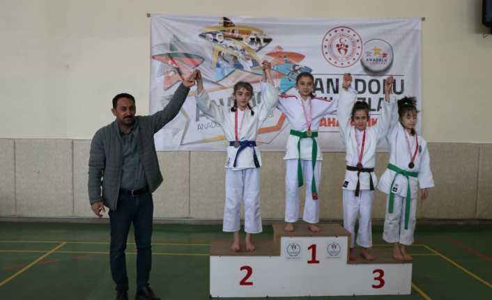 Anadolu Yıldızlar Ligi judo yarı final müsabakaları, Erzincan'da başladı