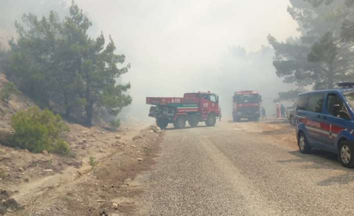 Antalya’nın Aksu ilçesinde orman yangını çıktı. 