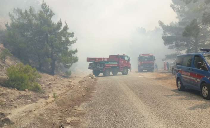 Antalya’da çıkan orman yangınında