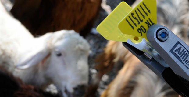 Gıda Tarım ve Hayvancılık Bakanlığı, 1 Ocak'tan itibaren Bakanlık personeli
