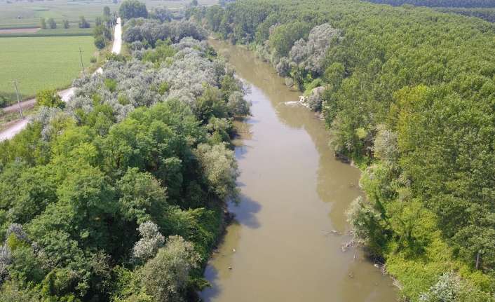 Sakarya’da 3. Organize Sanayi Bölgesinin döktüğü atık sularla daha önce