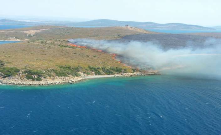 Balıkesir’in Ayvalık ilçesine bağlı Maden adasında orman yangını çıktı. 