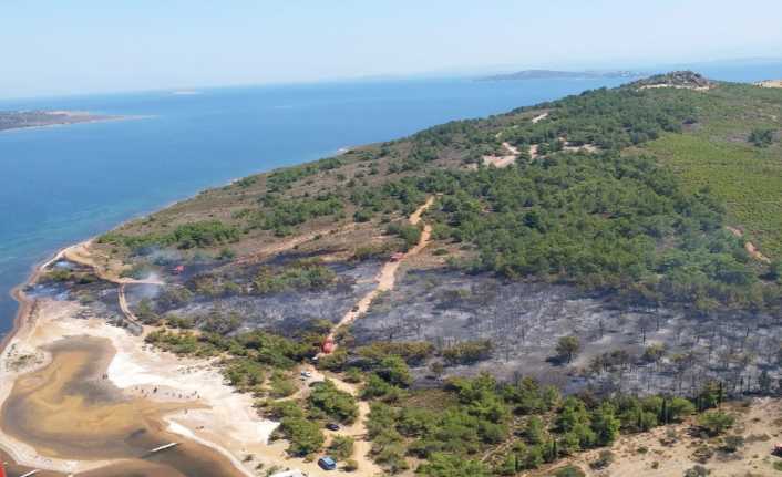 Balıkesir’in Ayvalık ilçesi Cunda (Alibey) Adasında çıkan orman yangını kontrol