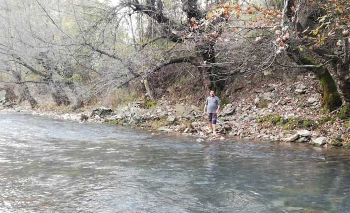 Antalya’da ormandan kiralanan ceviz bahçesi sahibinin yolu kapatması nedeniyle 45