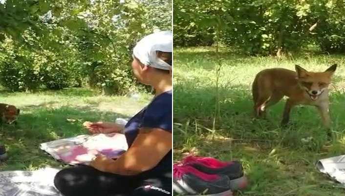 Düzce’de Dilek Şen isimli kadın, fındık topladığı bahçede yemek yerken