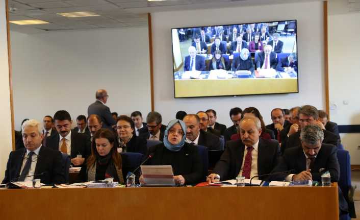 Aile, Çalışma ve Sosyal Hizmetler Bakanı Zehra Zümrüt Selçuk, Çoklu