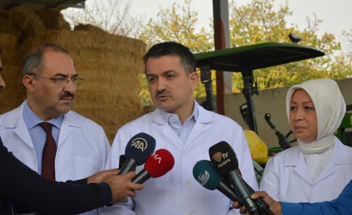 Tarım ve Orman Bakanı Bekir Pakdemirli, "Yerlideki 28 lira olan