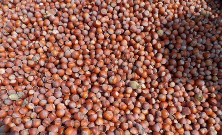 Tarım ve Orman Bakanı Bekir Pakdemirli, "2018 yılı biter bitmez