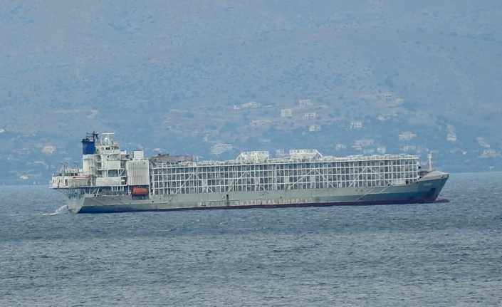 Tarım ve Orman Bakanlığı, şarbon hastalığı taşıdığı için İstanbul açıklarında