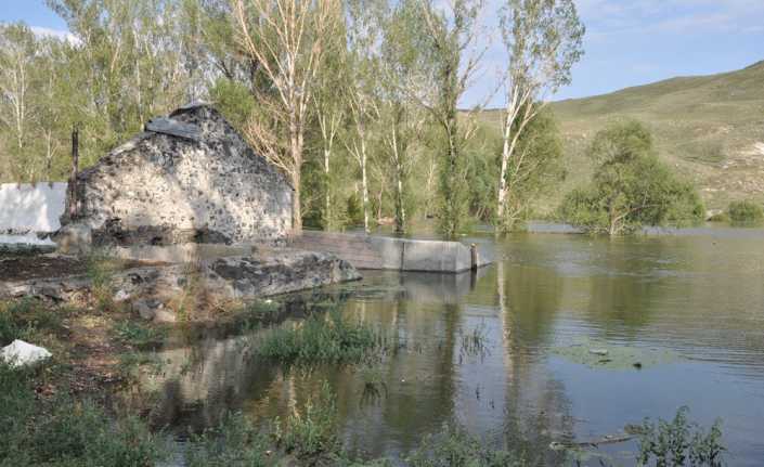 Kars Barajı’nın su tutmasının ardından baraj gölü de çeşitli yaban