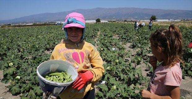 Çalışma ve Sosyal Güvenlik Bakanlığı koordinasyonunda hazırlanan "Çocuk İşçiliği ile
