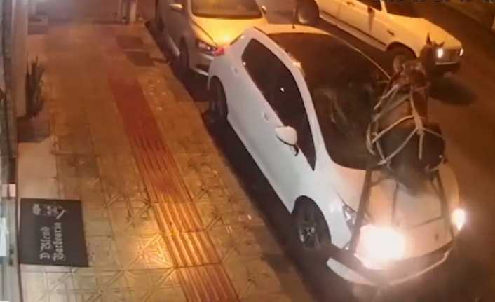 Brezilya’nın Santa Catarina eyaletinde sahibinin elinden kaçan bir at, trafiği