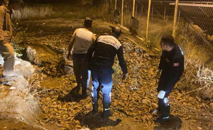 Erzincan'da hayvan gübresinin bulunduğu alanda mahsur kalan inek, itfaiye ekiplerince