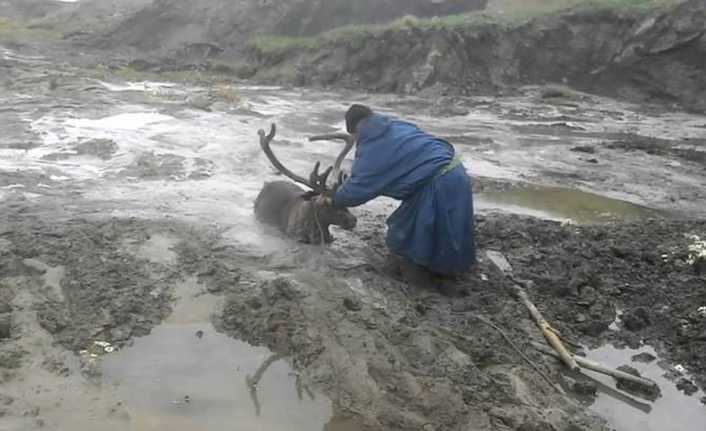Rusya’nın Sibirya bölgesinde bulunan Yamal şehrinden geçen Mordyaha Nehri’nde bataklığa