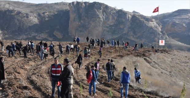 Batman Üniversitesince Batı Raman Kampüsünde oluşturulan ormana dikilen her fidana