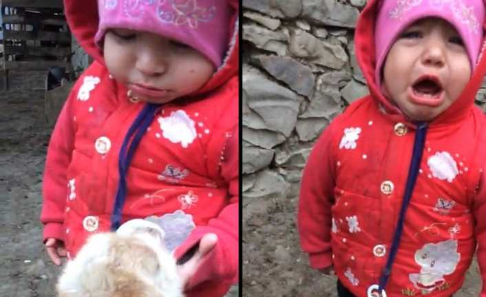 Ağrı’nın Diyadin ilçesinde bebeğin emziğini emen yavru keçi ve buna