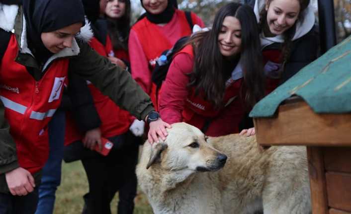 Erzincan Belediyesi Soğuk Kış Günlerinde Sokak Hayvanlarını Unutmuyor