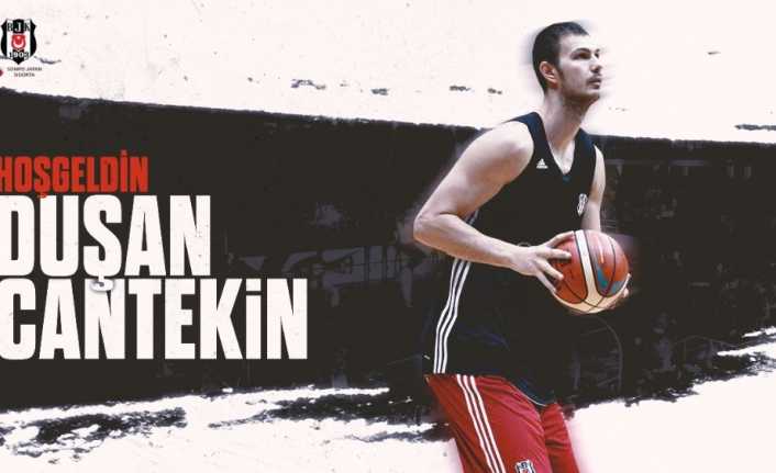 Beşiktaş Sompo Japan, yeni sezon transfer çalışmaları kapsamında 28 yaşındaki