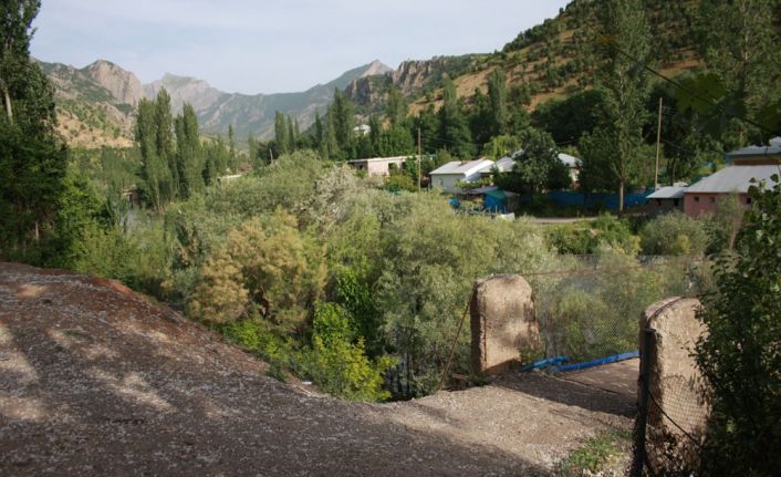 Şırnak’ın Beytüşşebap ilçesine bağlı iki köyde söğüt ve kavak ağaçlarından