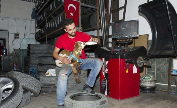 Ankara’da oto tamircisi olan