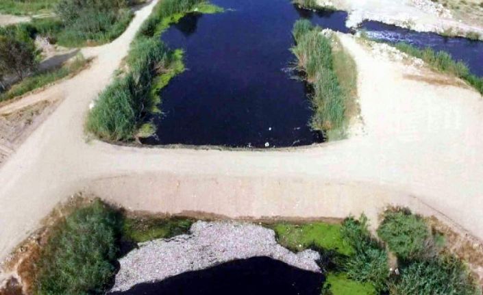 Aydın ile Muğla arasında kalan Büyük Menderes Deltası Milli Parkı’nda