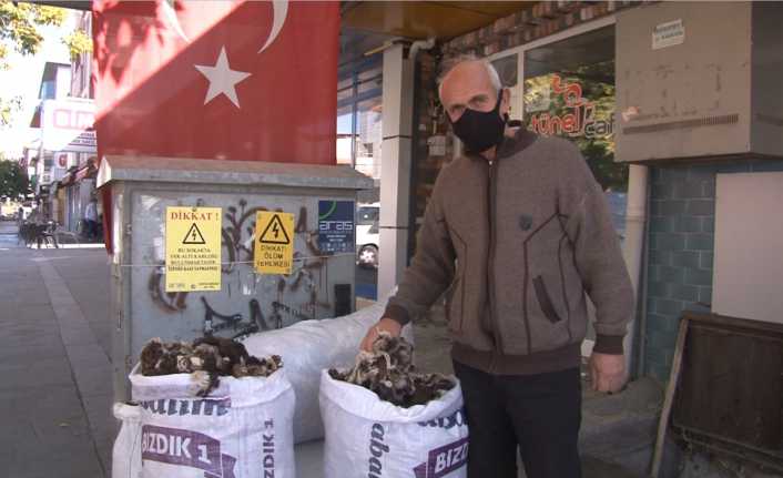 Geçmişte evlenecek olan çiftlerin ihtiyaç listesinin birinci sırasına yazdığı yünlerin