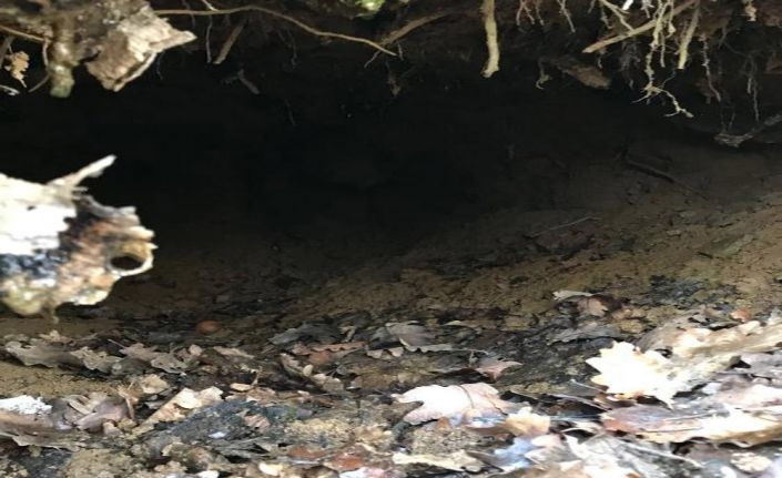 Tunceli’de düzenlenen operasyonda terör örgütü PKK’nın kullandığı TOW füzesi dahil